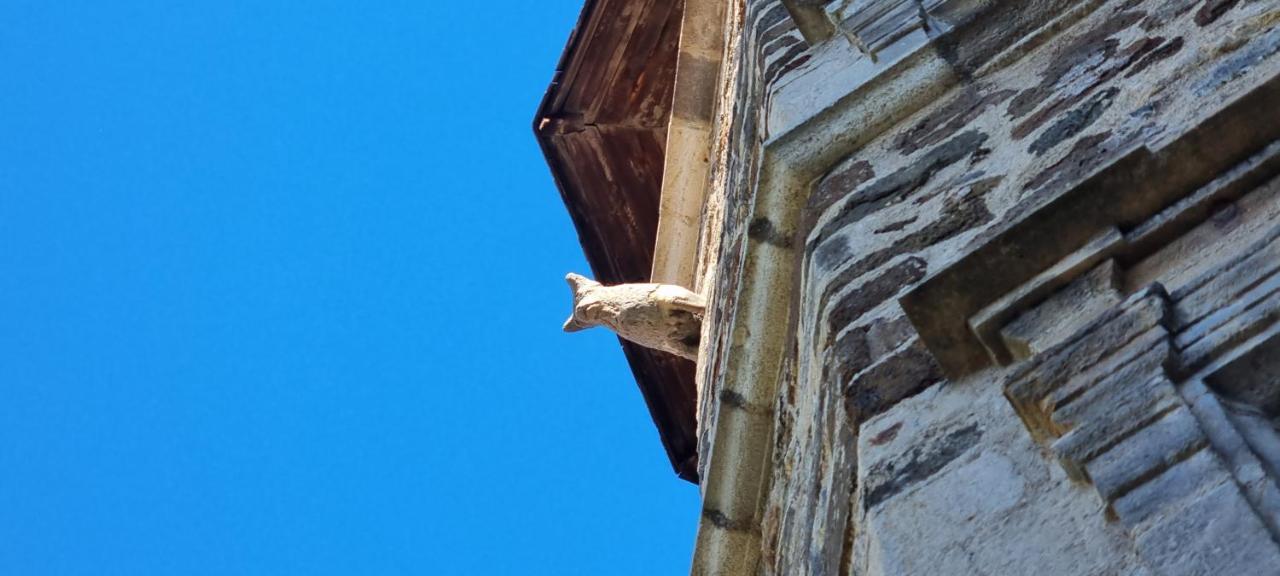 Maison au Loup - Superbe ancien hotel particulier du XVIe siècle au cœur de la vieille ville du Puy Le Puy-en-Velay Extérieur photo